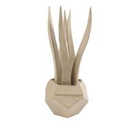 Clairefontaine ES Décopatch HD048C - Un support en papier brun mâché 9x9x22 cm, Succulente