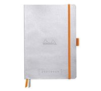 Clairefontaine ES RHODIA 117570C Goalbook - Cuaderno flexible (A5, 240 páginas, papel Clairefontaine blanco, 90 g, 2 correas, cierre elástico, tapa de piel sintética), color plateado