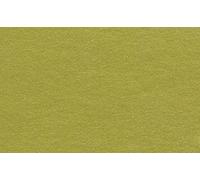 Clairefontaine marque Charm's Goldline Support Planche, A1, 750 g - Or (10 feuilles),