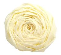 Clairefontaine Paquete de 10 papel crepé de 32 g, marfil, 50,5 x 10,7 x 4,3 cm