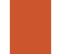 Clairefontaine Paquete de 25 papel para póster de 90 g, naranja, 80 x 60,1 x 0,2 cm