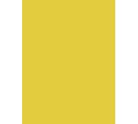 Clairefontaine Paquete de 25 papeles para póster de 90 g, color amarillo dorado, 79,7 x 60 x 0,2 cm