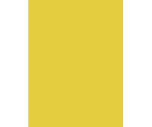 Clairefontaine Paquete de 25 papeles para póster de 90 g, color amarillo dorado, 79,7 x 60 x 0,2 cm