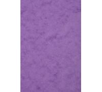 Clairefontaine - Ref 3131Z - Tarjeta de color Europa (paquete de 50 hojas) - Tamaño A3 (420 x 297 mm), 265 g/m², 300 micras, sin ácido, color lila