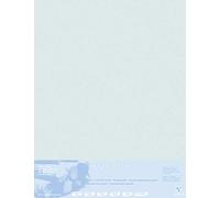 Clairefontaine - Ref 396020C - Tabla montada en pastelmat (5 hojas) - 1800 micras - 70 x 100 cm - Color gris claro - Especialmente formulada para uso con pasteles
