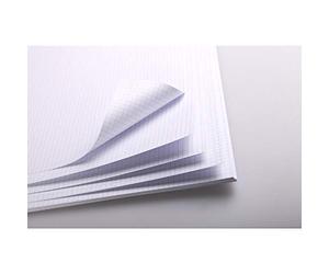 Clairefontaine - Ref 93325C - Hojas graduadas Bristol (25 hojas), tamaño 50 x 65 cm, papel de 205 g/m², rayas cuadradas, adecuado para lápiz, bolígrafo técnico, tinta india, puntas de fieltro