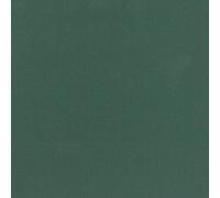 Clairefontaine - Ref 93498C - Papel de dibujo de 130 g/m² (25 hojas, 50 x 65 cm, papel de dibujo de 130 g/m², color verde oscuro