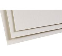 Clairefontaine - Ref 96020C - Hojas para Sobres Pastelmat (paquete de 5 hojas) - Tarjeta de 360 g/m² - 50 x 70 cm - Color gris claro - Especialmente formuladas para usar con pasteles