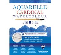 Clairefontaine - Ref 96196C - Acuarela Cardinal (10 hojas), tamaño 30 x 40 cm, papel de 300 g/m², sin ácidos, pH neutro, apto para acuarela
