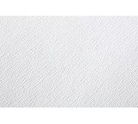 Clairefontaine - Ref 96388C - Etival Classic - Hojas sueltas para pintura y dibujo de acuarela (25 hojas de papel), 56 x 76 cm, papel de celulosa de 200 g/m²