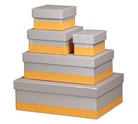 Clairefontaine Rhodiarama Set de 5 cajas anidadas (piel sintética italiano 10 x 15 x 10 cm/16 x 16 x 11 cm/20 x 20 x 11 cm/38 x 24 x 13 cm/44 x 34 x 16 cm) plata