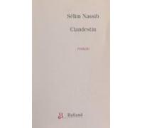 Clandestin (ebook)