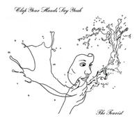 Clap Your Hands Say Yeah – The Tourist – Vinilo 12" – Membran