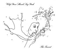 Clap Your Hands Say Yeah The Tourist (Vinyl) 12" Album (Importación USA)