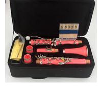 Clarinet Clarinete Bb 17 Tecla De Alpaca ABS Material Del Cuerpo Clarinete(Pink)