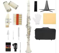 Clarinet Clarinete Blanco 17 Teclas B Clarinete Plano ABS Plateado Instrumento De Llave Plateada Con Tela(SET2)