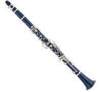 Clarinet para principiantes Clarinete De Instrumento Musical De Nivel De Rendimiento Clarinete Profesional Azul