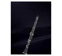 Clarinet para principiantes Clarinete En Si Bemol Para Estudiantes De Exámenes De Iniciación Y Profesionales Adultos