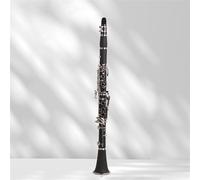 Clarinet Para Principiantes Prueba De Grado Popular Para Principiantes Del Clarinete De Baquelita Que Toca El Clarinete En Si Bemol Como Instrumento De Viento De Madera
