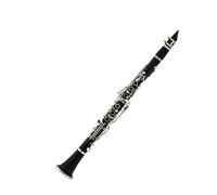 Clarinet Principiante Set Clarinete Instrumento Grado Principiante Examen Escuela Tocando Clarinete Si Bemol