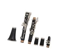 Clarinet principiantes Si Bemol Tune Instrumentos De Viento De Madera Profesionales Clarinete Tubo Negro Con Accesorios De Caja