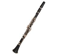 Clarinete ABS De 17 Teclas BB Flat Saxophone Binocular Clarinete Principiante Clarinete Principiantes