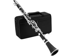 Clarinete Adultos Principiantes Aprendiendo A Tocar Un Clarinete Profesional En Si Bemol.