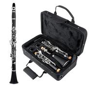 clarinete bajo Clarinete en Sib Clarinete principiante con clarinete en si bemol
