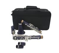 Clarinete Bb 17 teclas de cobre blanco cuerpo de resina duradera instrumento de viento de madera