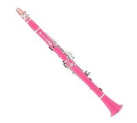 Clarinete Clarinete Rosa Adecuado Para Interpretaciones En Orquesta