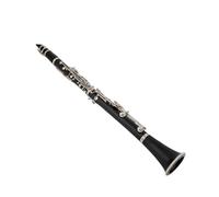 clarinete Clarinete Si bemol Tune Instrumentos de viento de madera de calidad profesional Clarinete Tubo negro Teclas de alpaca 17 teclas Alpaca
