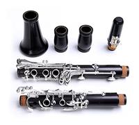 Clarinete De Ébano Profesional BB Tono 17/18 Teclas Plateado Plateado Grenadilla SIB KLARNET Clarinetes (Color : 17 keys)