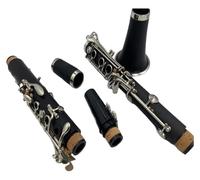 Clarinete en miniatura Cuerpo de tubo fácil de mantener Bes Tune Soportes de viento profesionales Clarinete Tubo negro con accesorios para el maletero