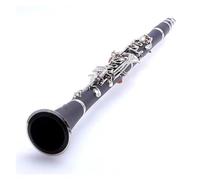 Clarinete musical B-flat profesional Clarinete 17 teclas ABS chapado en plata Instrumentos para principiantes