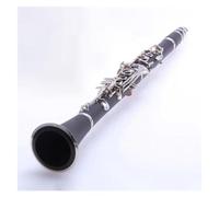 Clarinete Profesional Cuerpo De Resina ABS 17 Teclas Clarinete En Tono Bb Latón Teclas Plateadas/niqueladas Clarinete Con Estuche De Transporte (Color : Silver)