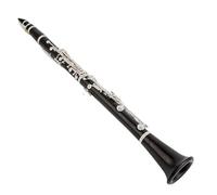 Clarinete Sib 650 Clarinete Bb Profesional Clarinetes De Ébano Madera De Ébano Chapado En Plata Llave Caja De Instrumentos Musicales Cañas