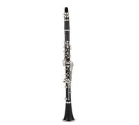 Clarinete Sib Amantes De La Música Melodía En Si Bemol Instrumentos De Viento De Madera Profesionales Clarinete Tubo Negro Con Accesorios De Estuche