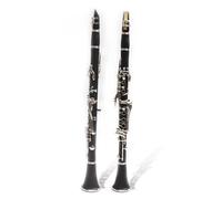 Clarinete Sib Instrumento De Clarinete Banda De Examen De Grado Principiante Tocando Clarinete De Viento De Madera En Si Bemol