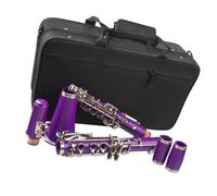 Clarinete Sib profesional, 17 teclas, cuerpo de plástico selecto, Kit de llaves niqueladas, color morado Instrumentos De Clarinete