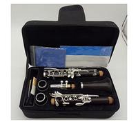 Clarinete Teclas 17 Ebony Wood BB Clarinetes R13 Clarinetes Profesionales Plateado Plateado Clarinete Profesional