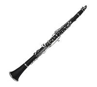 Clarinetes Clarinet G Tune 20-Key Material De Plástico Clarinet Playing Instrumento De Viento Clarinete principiantes (Color : Black)