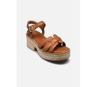 Clarks Sandalias COLEDALE STRAP in Marrón 41
