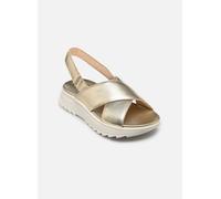 Clarks DashLite Wish 36 Oro y bronce