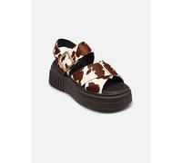 Clarks Evamar Wish 40 Blanco