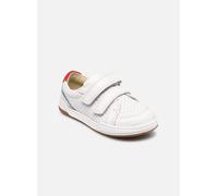 Clarks Fawn Solo T 25 1/2 Blanco
