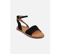 Clarks Maritime May 39 Negro