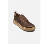 Clarks Polden Lace 40 Marrón