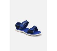 Clarks Surfing Tide K 33 Azul