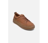 Clarks Torhill Lace 42 Marrón