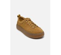 Clarks Torhill Lace 45 Marrón